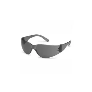 Gateway Safety 4683 StarLite Safety Eyewear, Gray Frame, Gray Lens, 1 Each