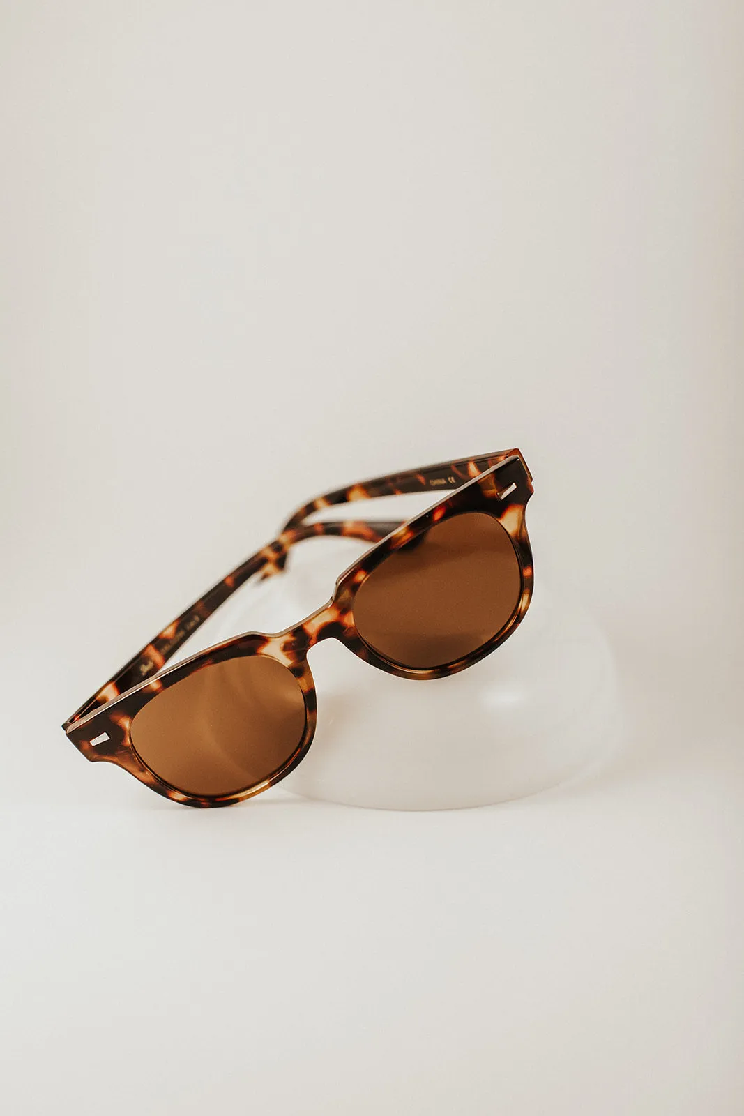 willa wayfarer sunglasses